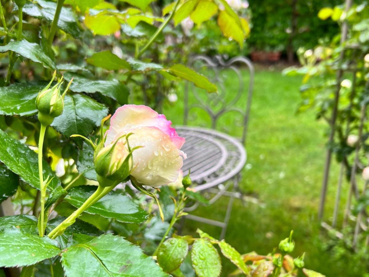 Cavedine La Finestra Sul Giardino - B&B מראה חיצוני תמונה