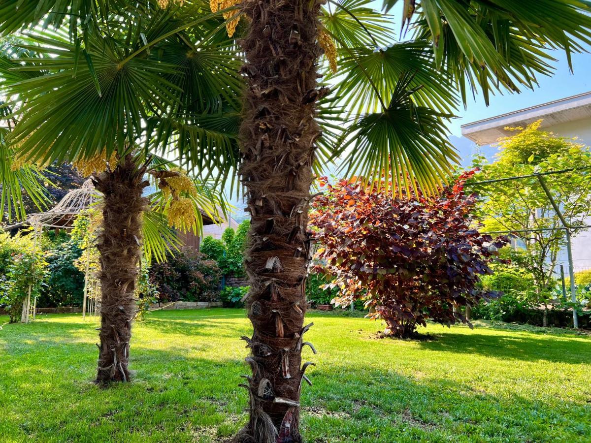Cavedine La Finestra Sul Giardino - B&B מראה חיצוני תמונה